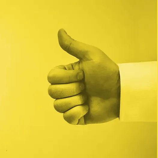 99Consumer Content Removal Service