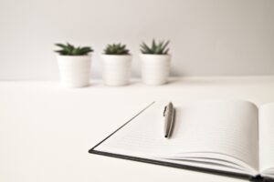 A white desk with a open notebook on it and three succulents in the background.