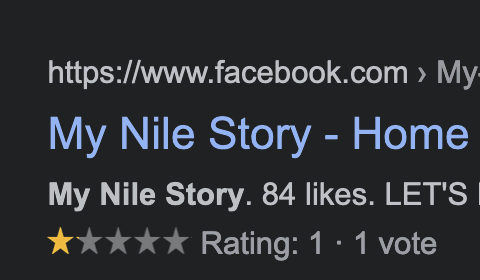 1 Star Review for My Nile Story
